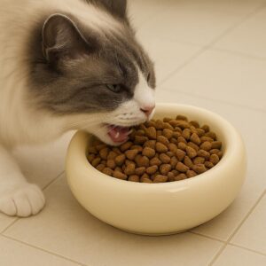 Cream Ceramic Pet Bowl for Cats & Dogs