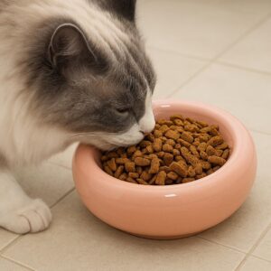 Pink Ceramic Pet Bowl for Cats & Dogs